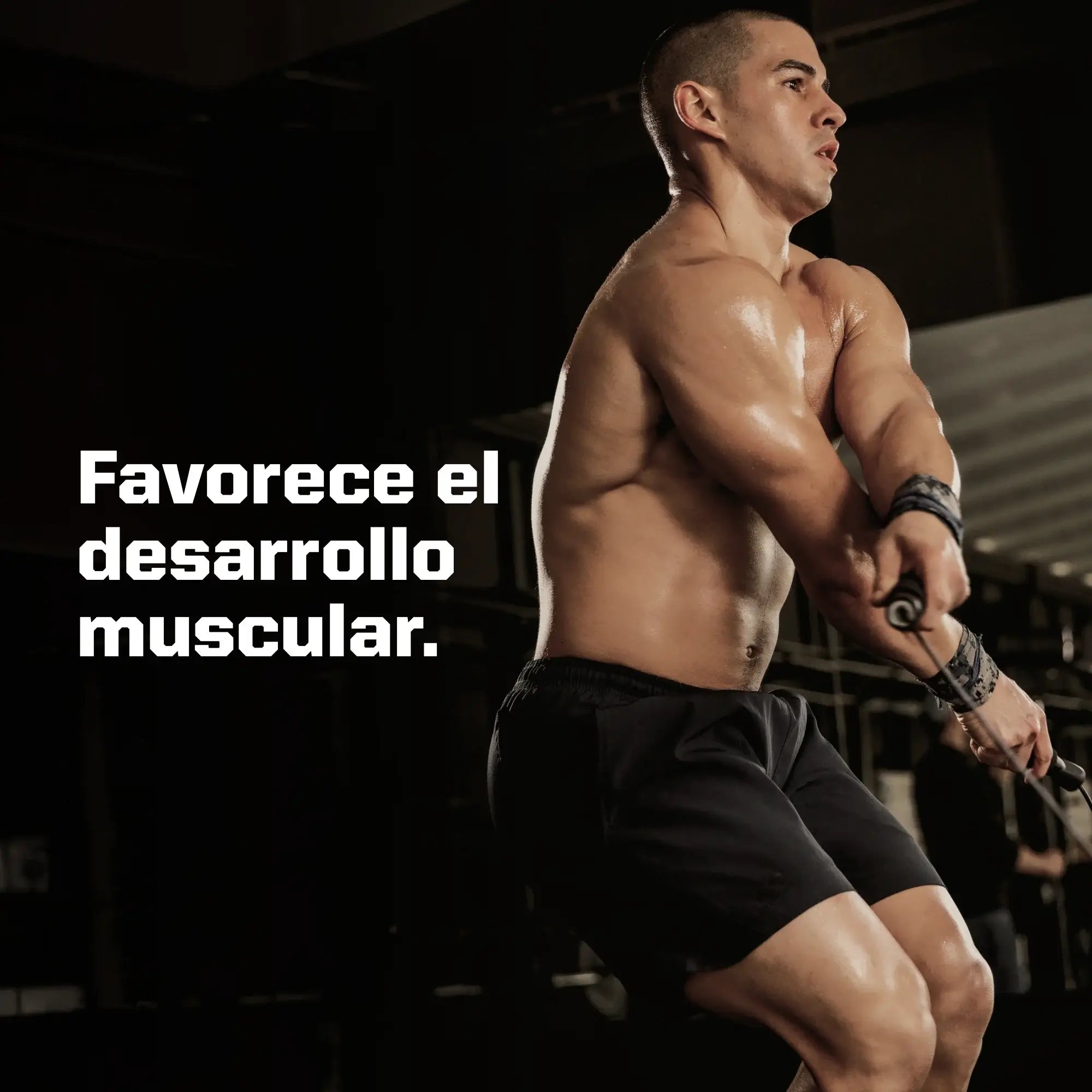 Beneficios Truemade Whey Protein