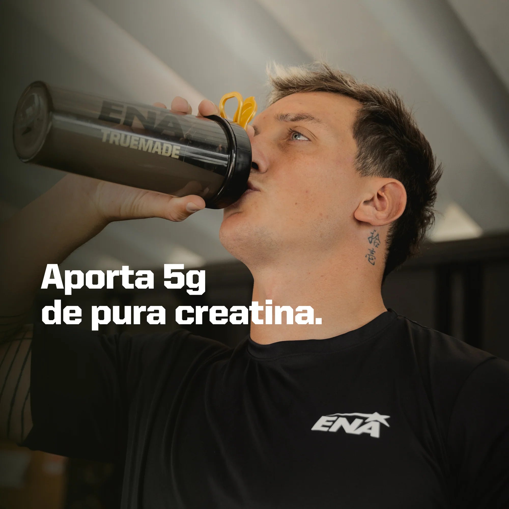 Aporte Creatina Monohidrato