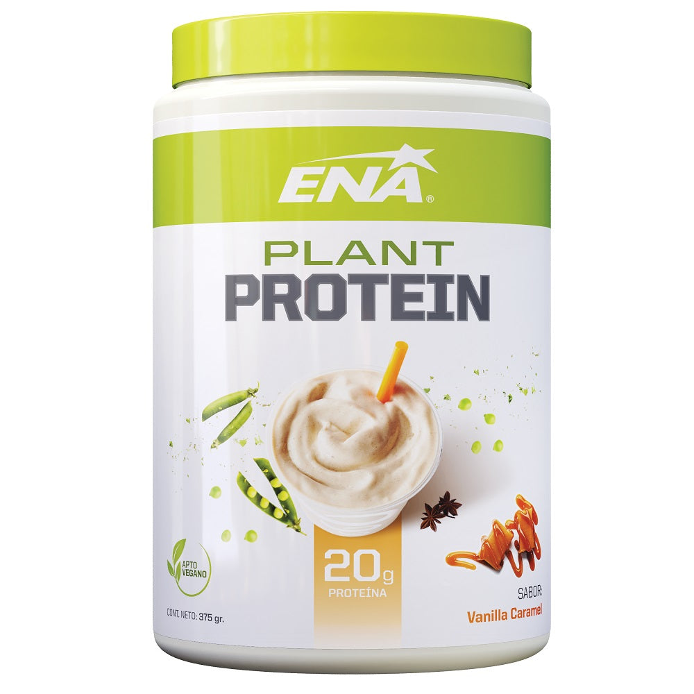 Plant Protein